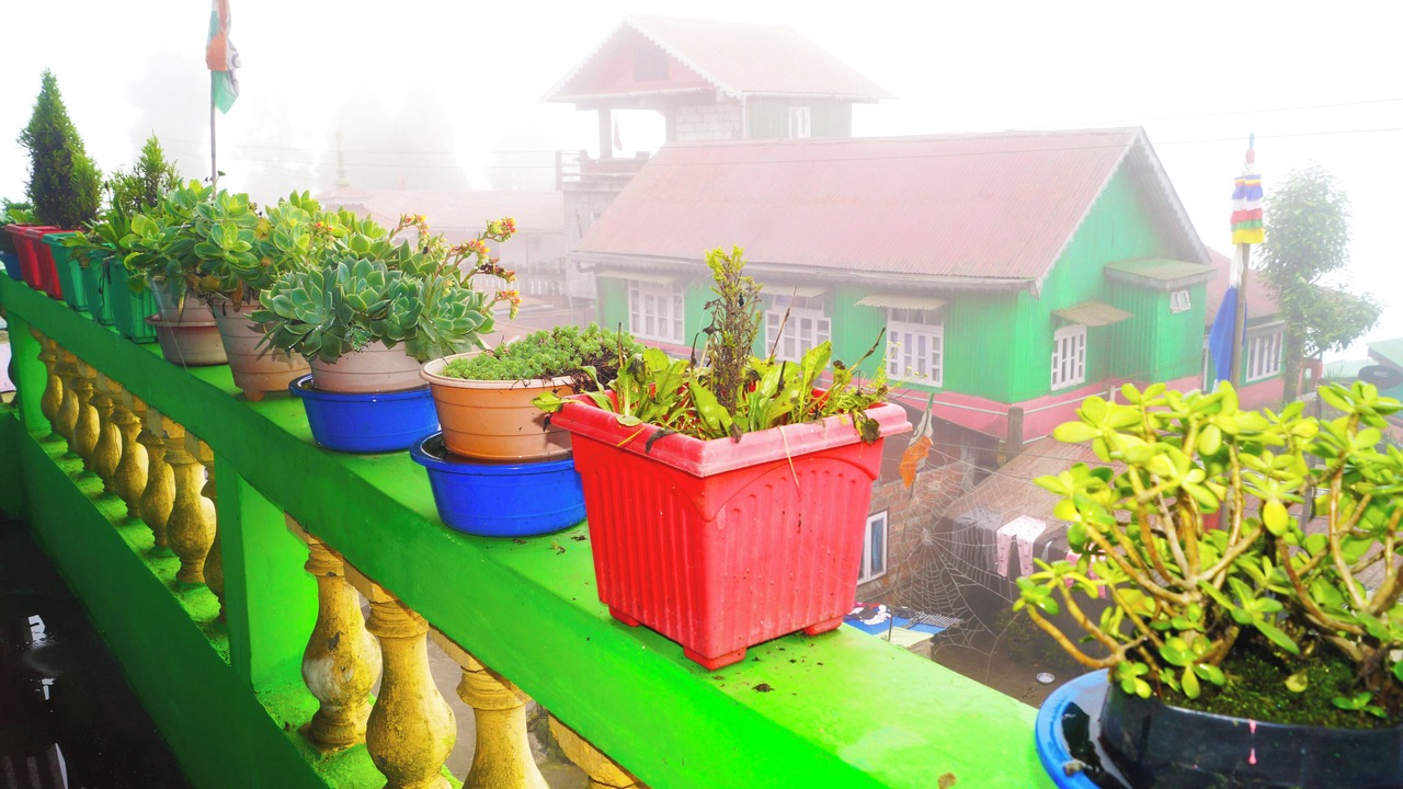 Photo of Outdoor in Ghoom