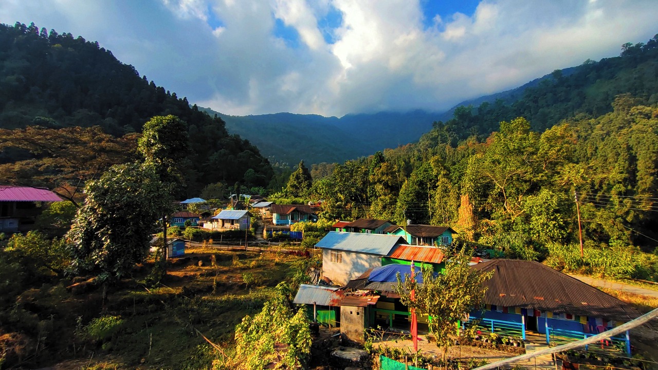 Photo of Outdoor in Kumai