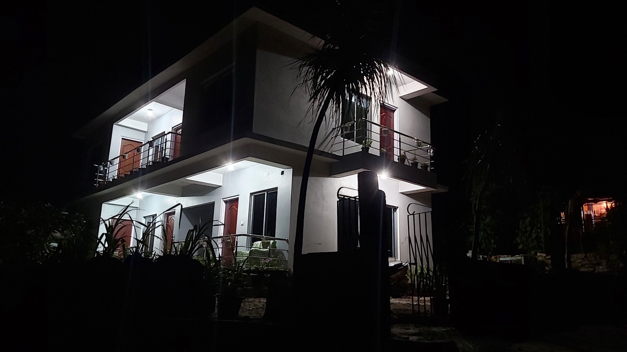 Photo of Outdoor in Kumai