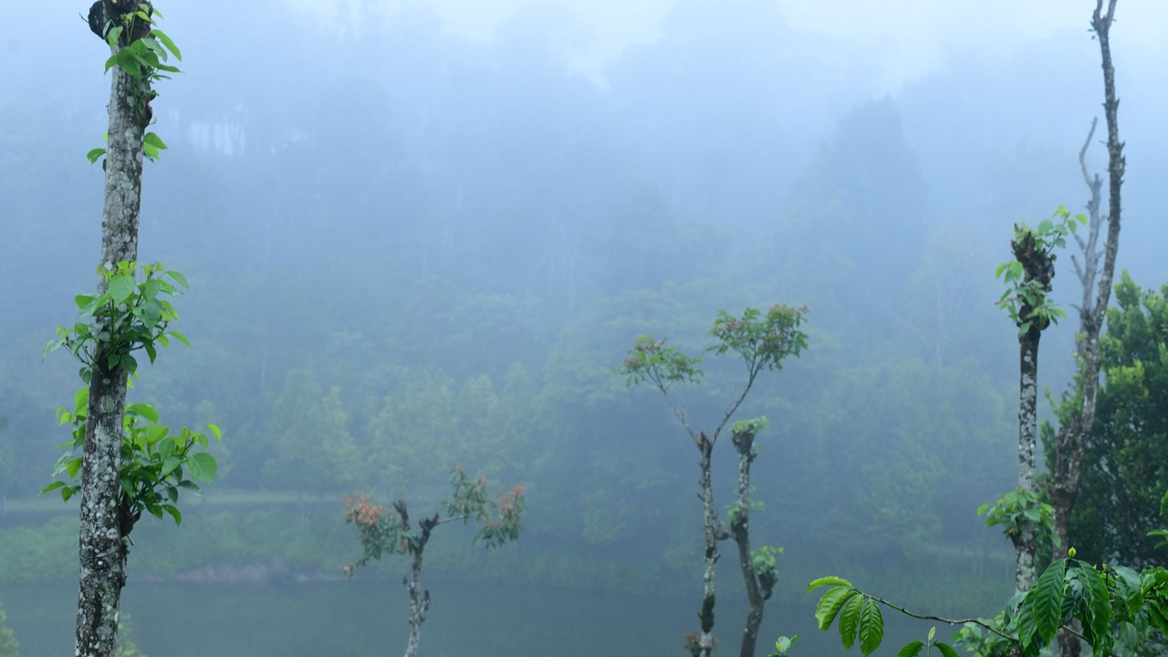 Photo of Outdoor in Virarajendrapet