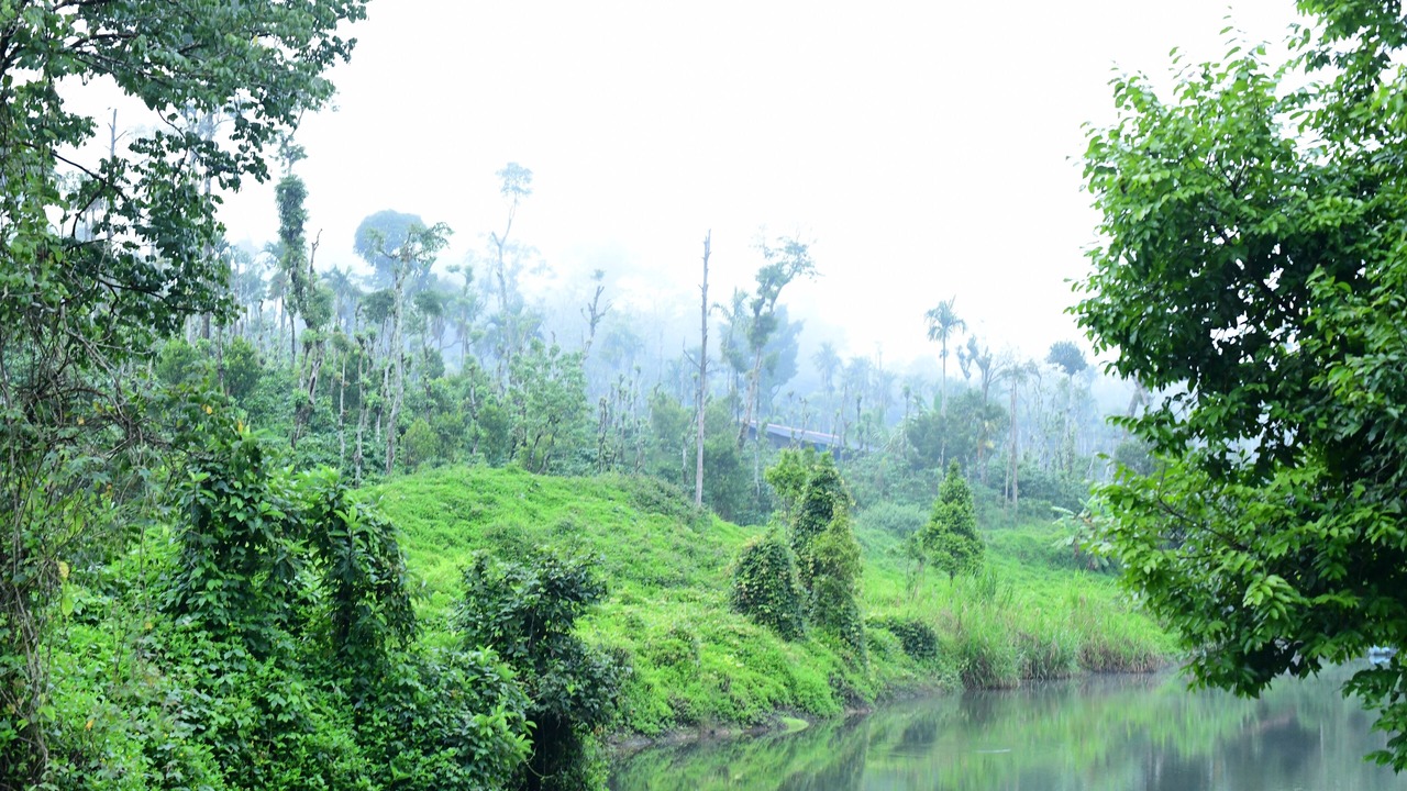 Photo of Outdoor in Virarajendrapet