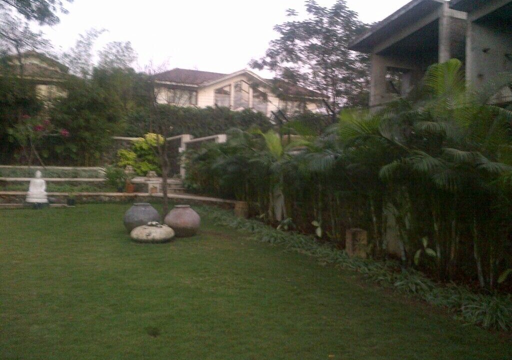 Photo of Outdoor in Kune N.m.