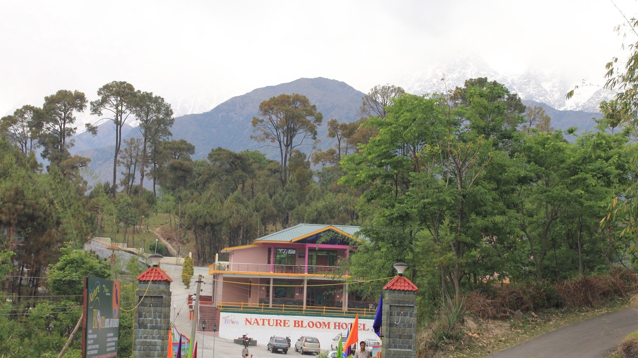 Photo of Outdoor in Chachian