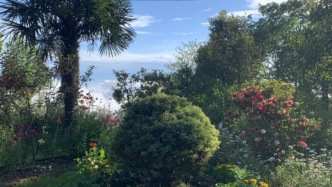 Photo of Outdoor in Darjeeling