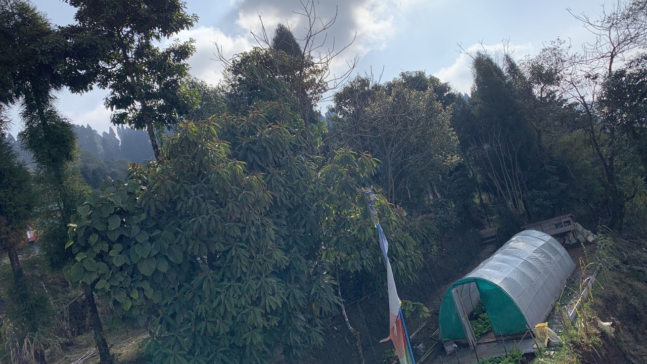 Photo of Outdoor in Darjeeling
