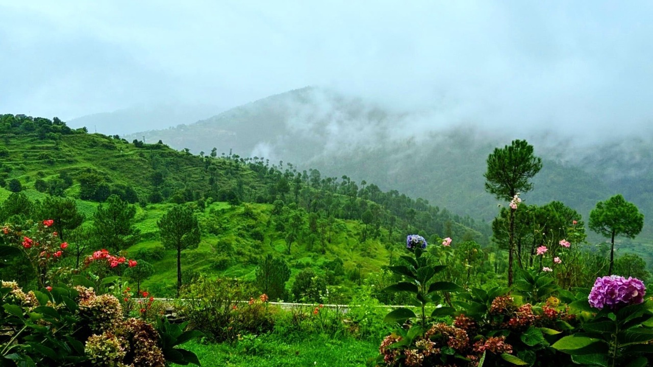 Photo of Outdoor in Kaul