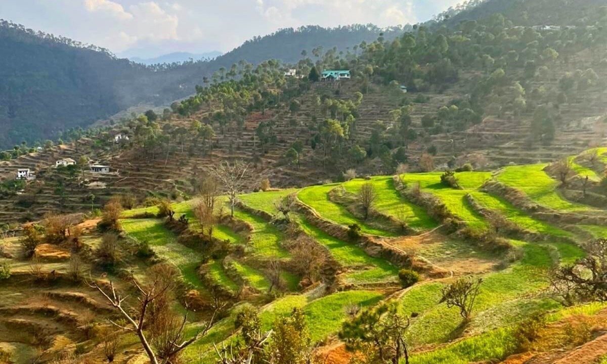 Photo of Outdoor in Kaul