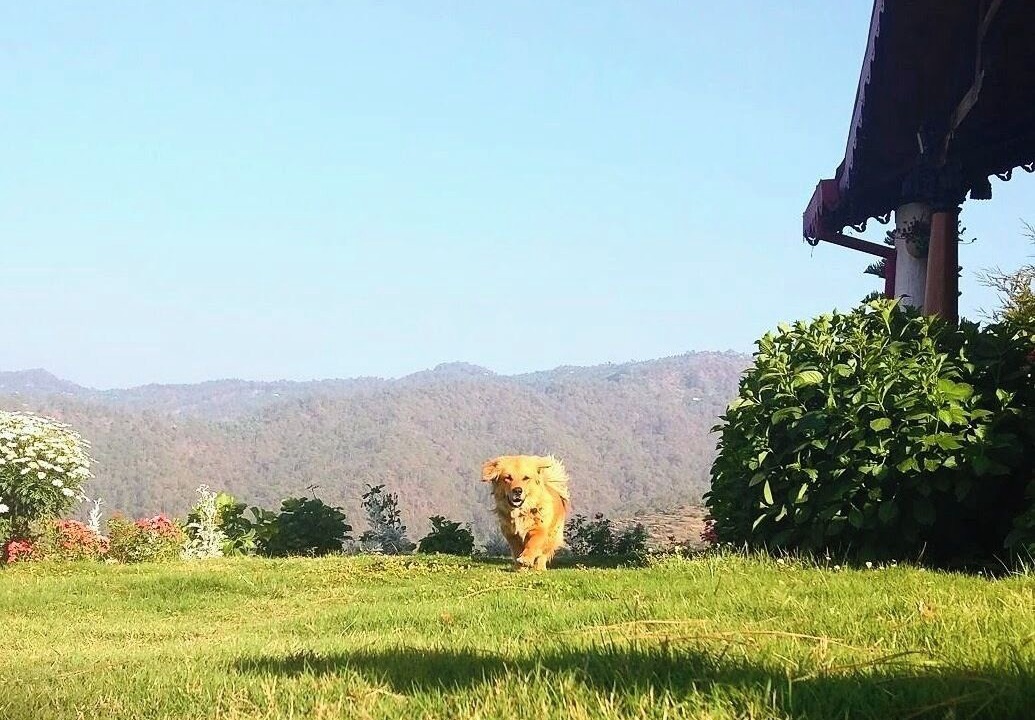 Photo of Outdoor in Kaul