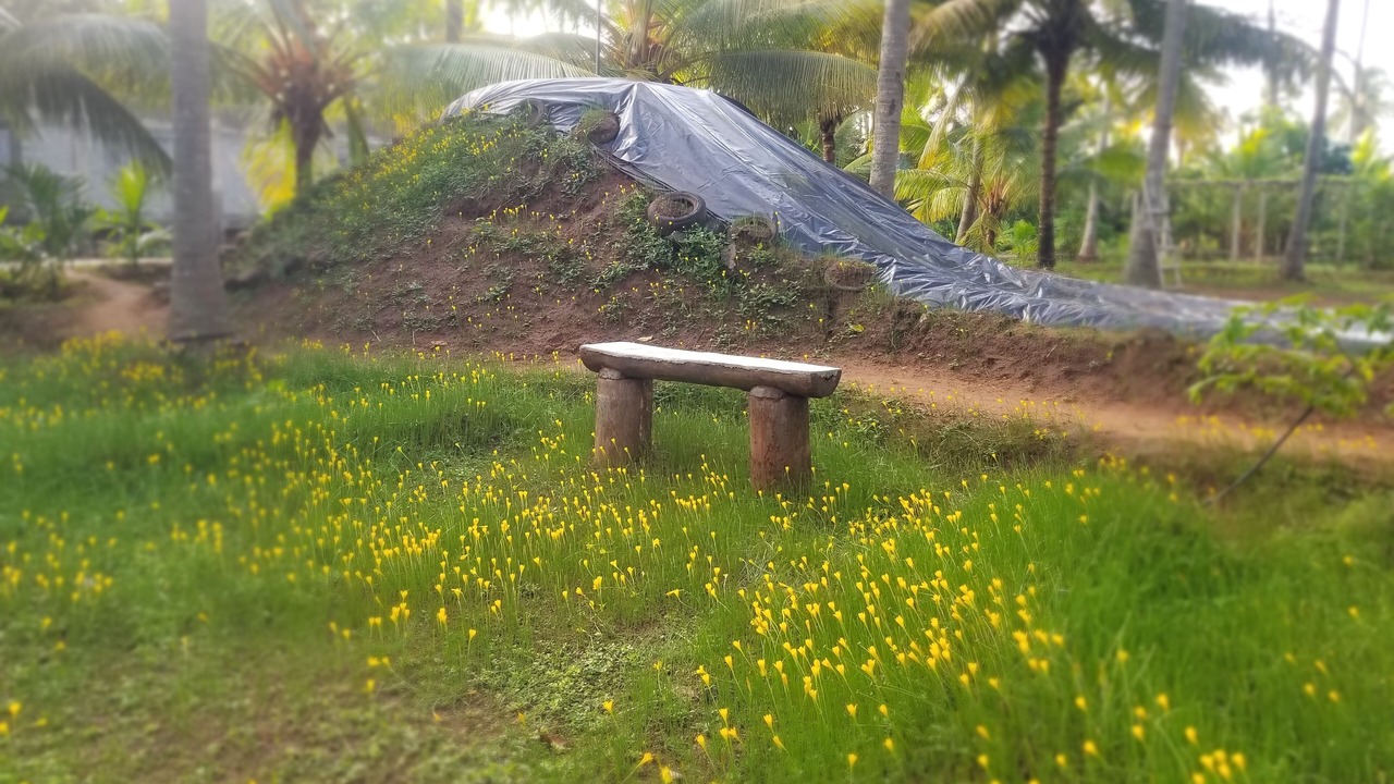Photo of Outdoor in Pollachi