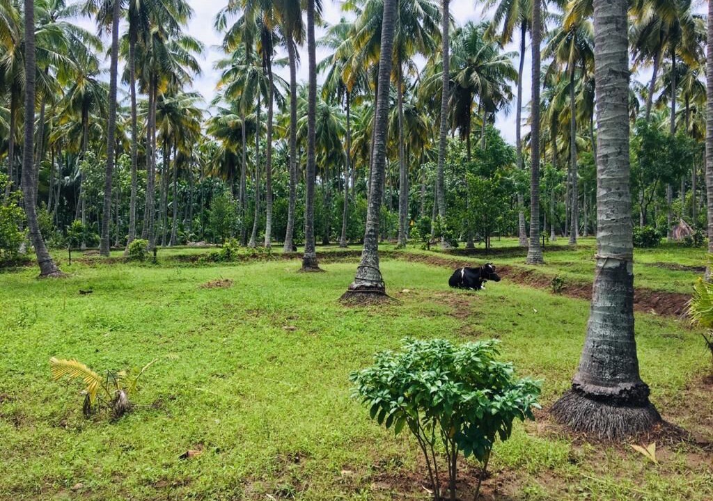 Photo of Others in Pollachi