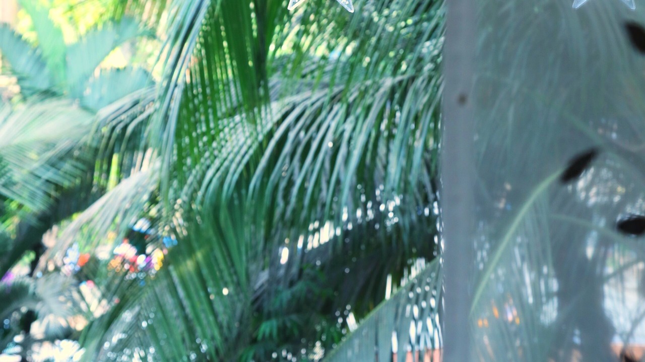 Photo of Outdoor in Andheri West
