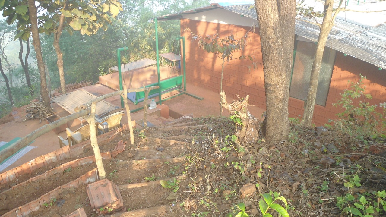 Photo of Outdoor in Pen