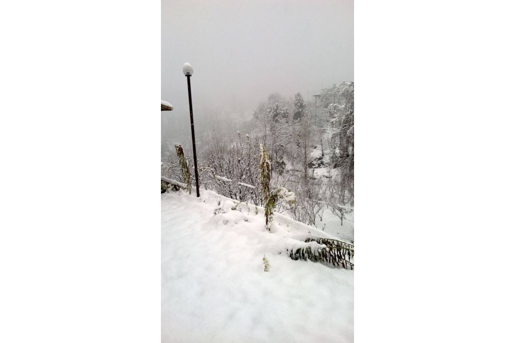 Photo of Outdoor in Nathuakhan