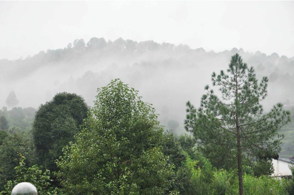 Photo of Outdoor in Nathuakhan
