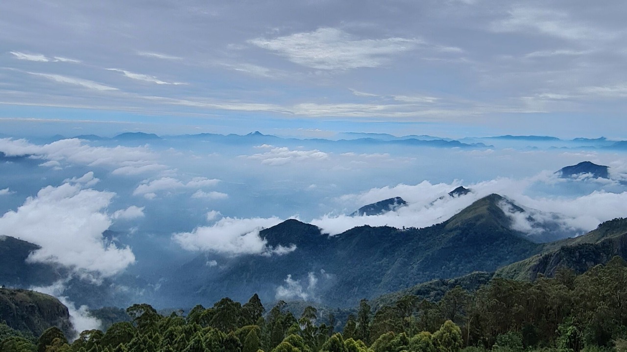 Photo of Outdoor in Kodaikanal