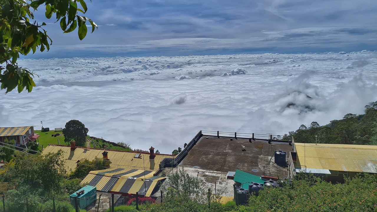 Photo of Others in Kodaikanal