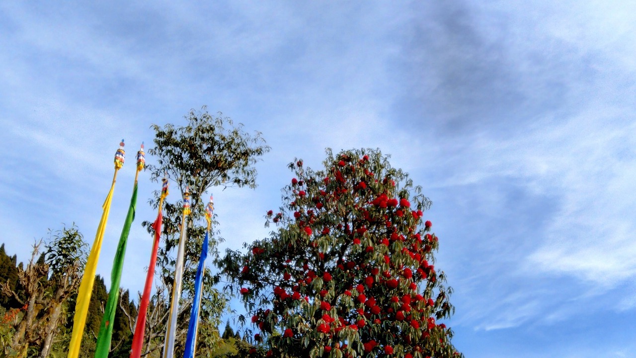 Photo of Outdoor in Kayiavir Plungdung