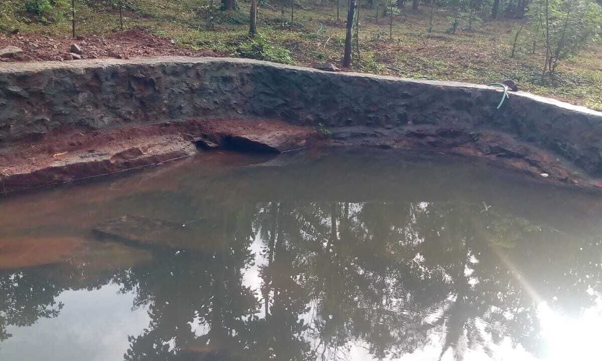 Photo of Outdoor in Palakkad