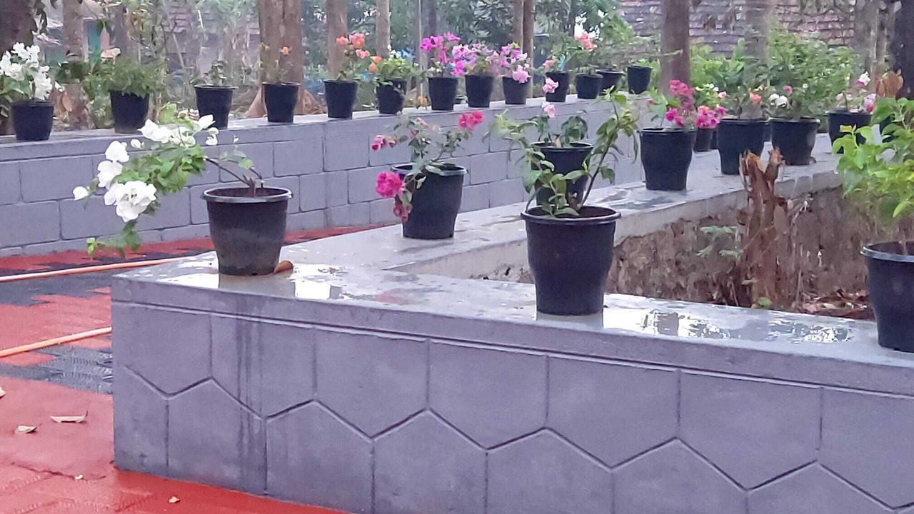 Photo of Outdoor in Palakkad
