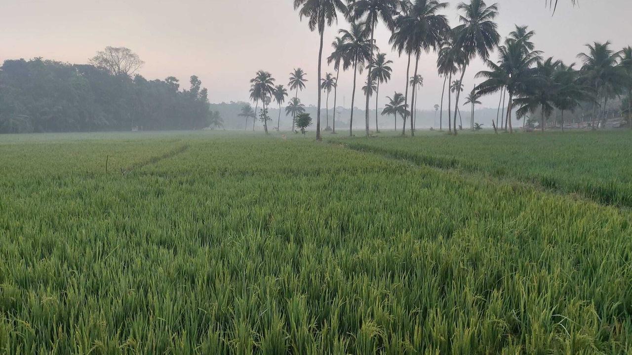 Photo of Outdoor in Palakkad