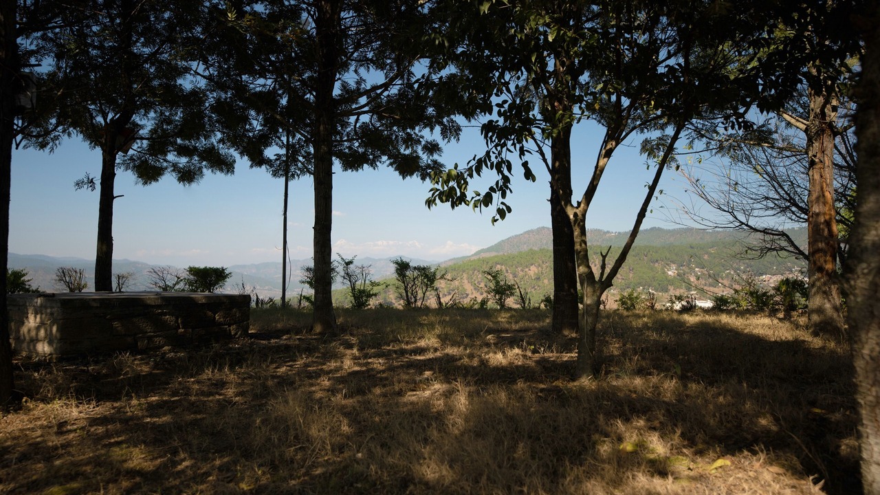 Photo of Outdoor in Almora