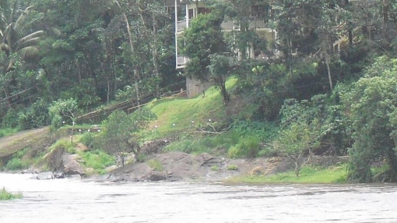 Photo of Outdoor in Udumbanchola