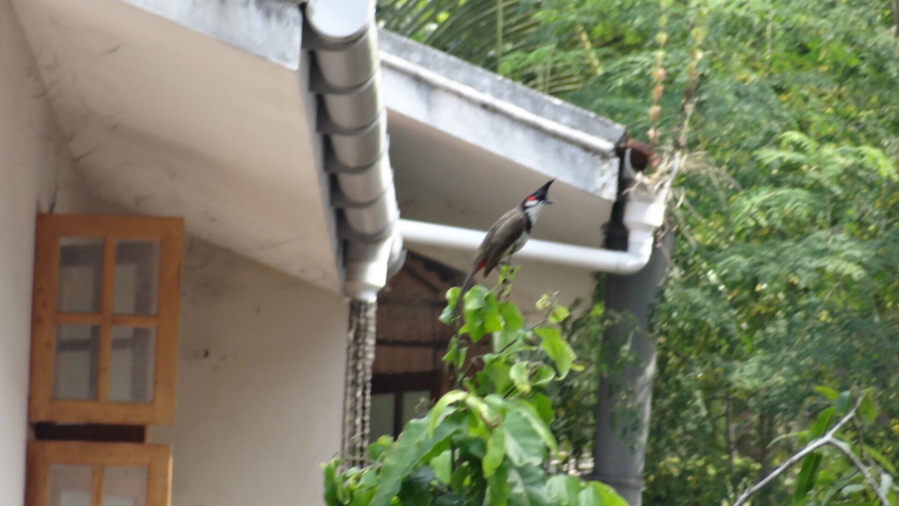 Photo of Outdoor in Kozhikode
