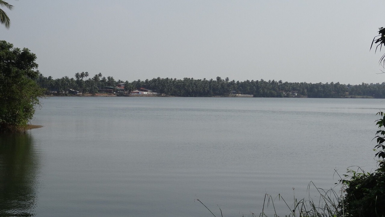 Photo of Others in Kozhikode