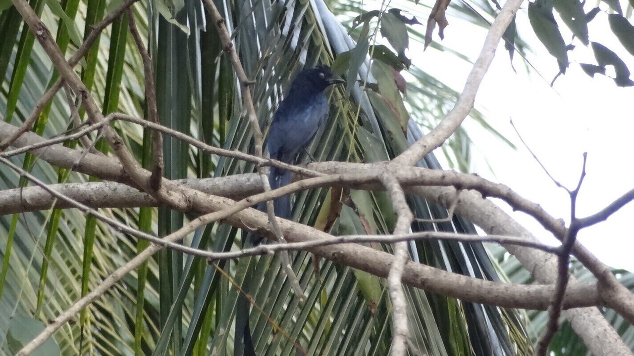 Photo of Others in Kozhikode