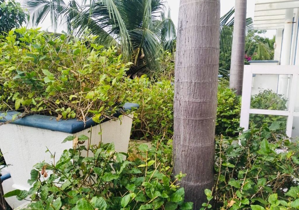 Photo of Outdoor in Injambakkam
