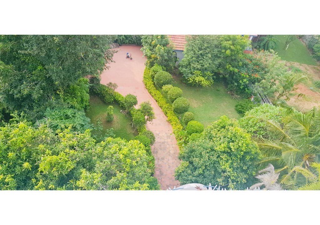 Photo of Outdoor in Injambakkam