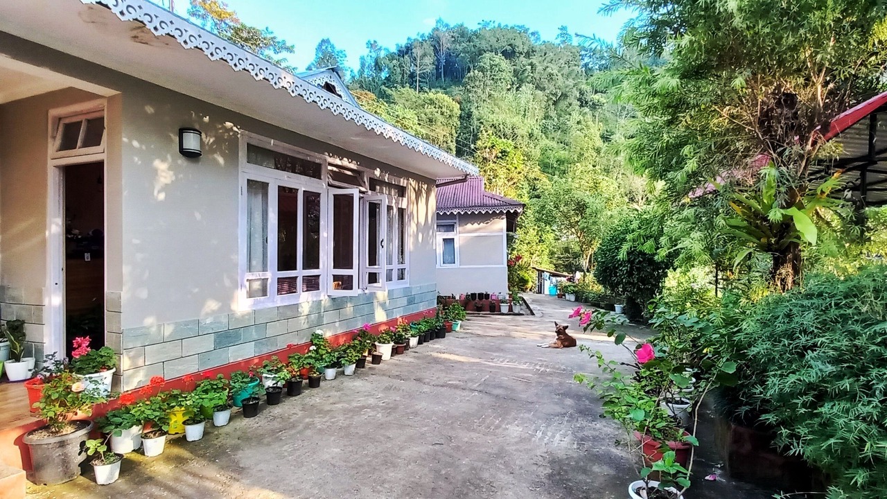 Photo of Outdoor in Geyzing