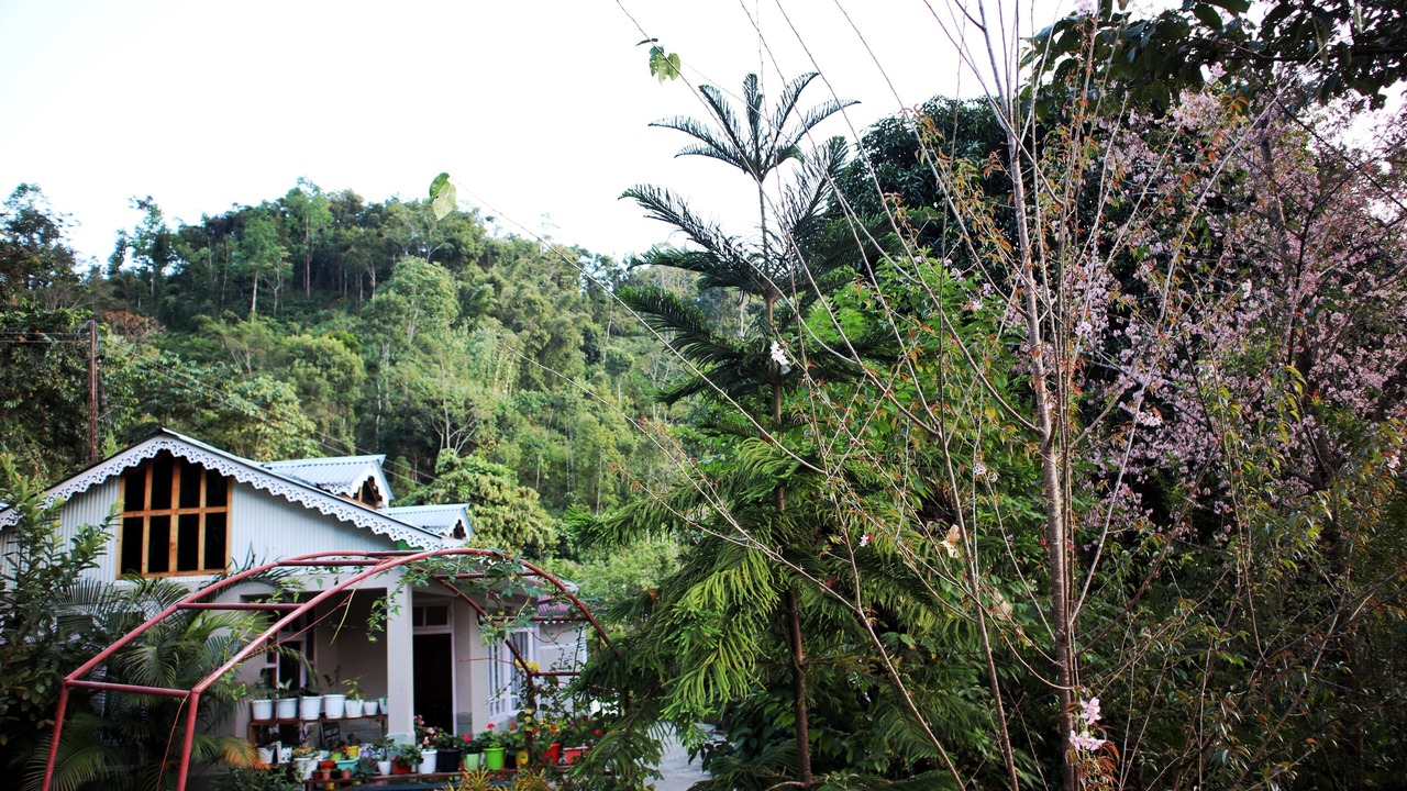 Photo of Outdoor in Geyzing