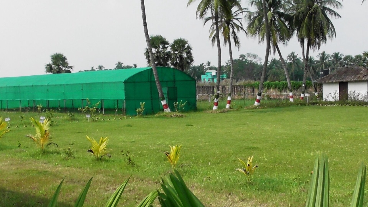 Photo of Outdoor in Bhandardaha