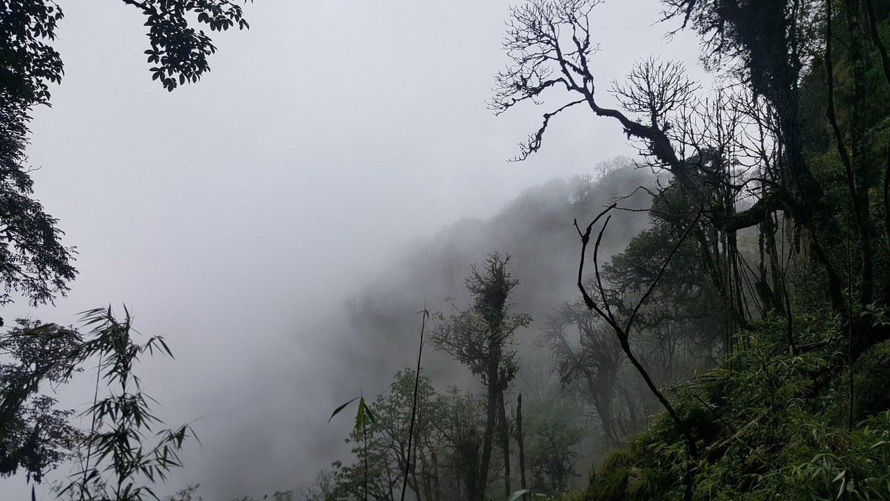 Photo of Outdoor in Gangtok