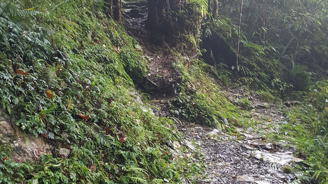 Photo of Outdoor in Gangtok