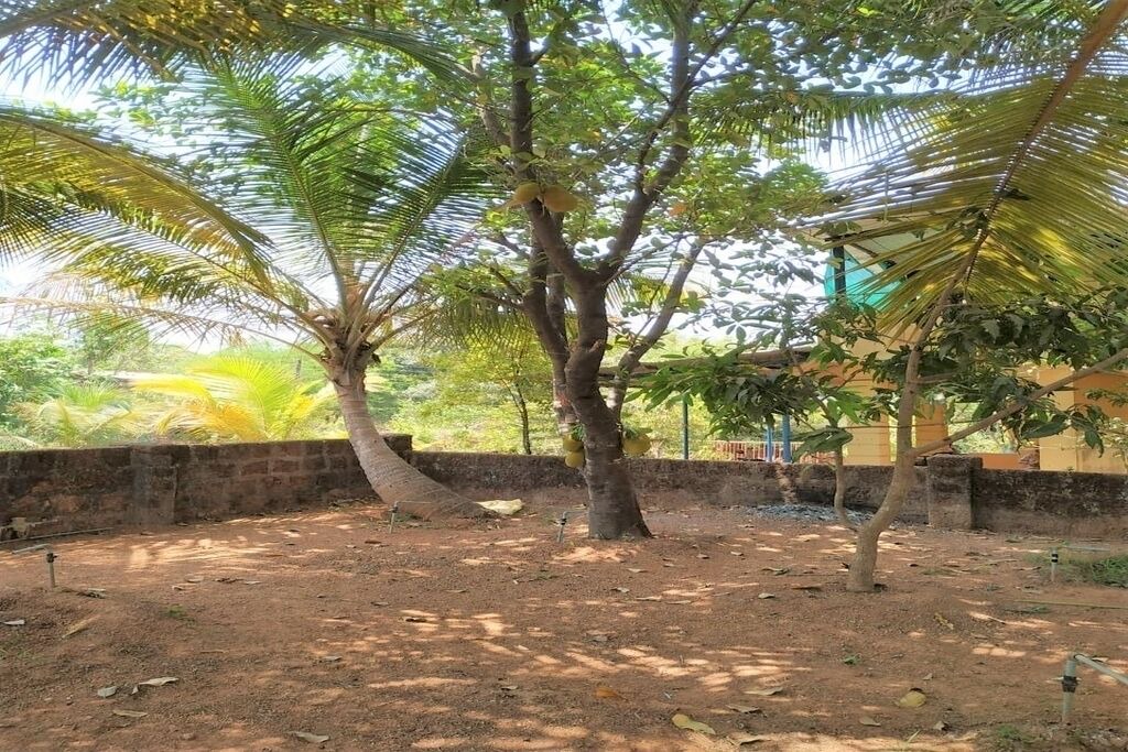 Photo of Outdoor in Kudal