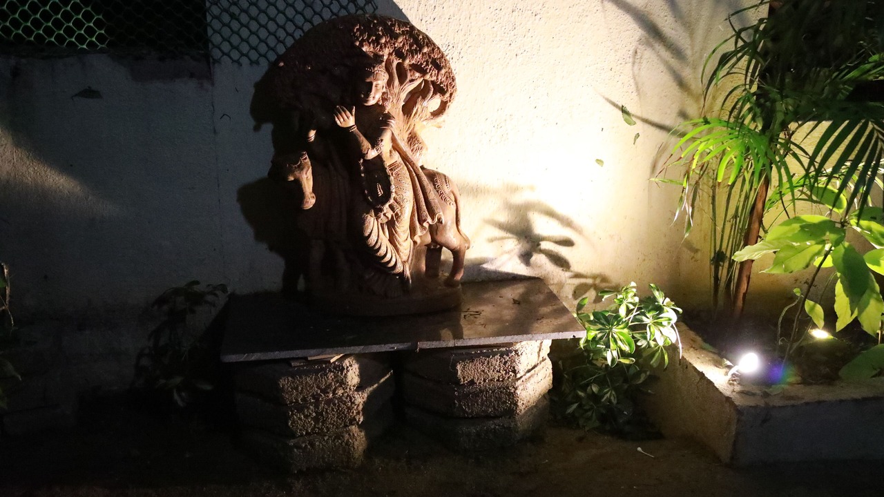 Photo of Outdoor in Mylapore Tiruvallikk
