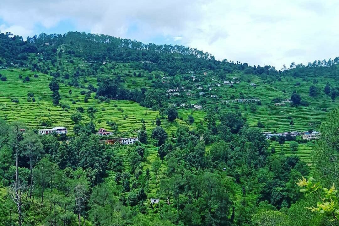 Photo of Others in Kaul