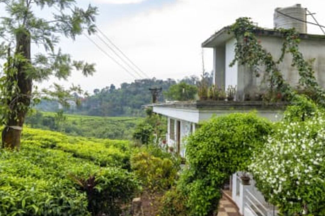 Photo of Outdoor in Chithirapuram