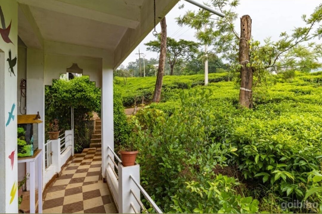 Photo of Outdoor in Chithirapuram