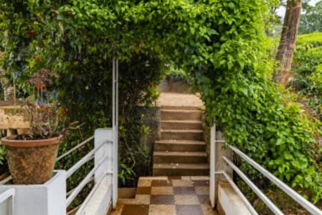 Photo of Outdoor in Chithirapuram