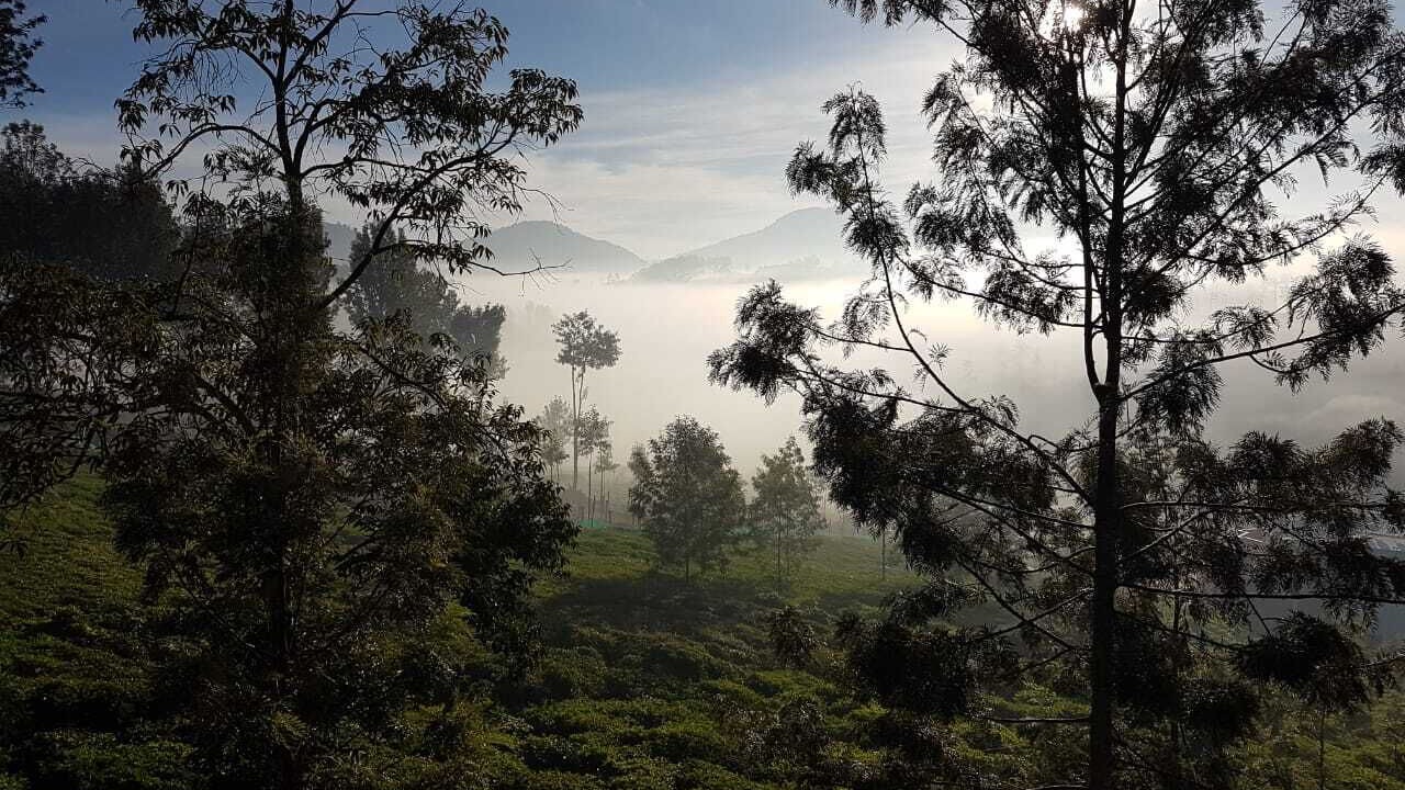 Photo of Outdoor in Kotagiri
