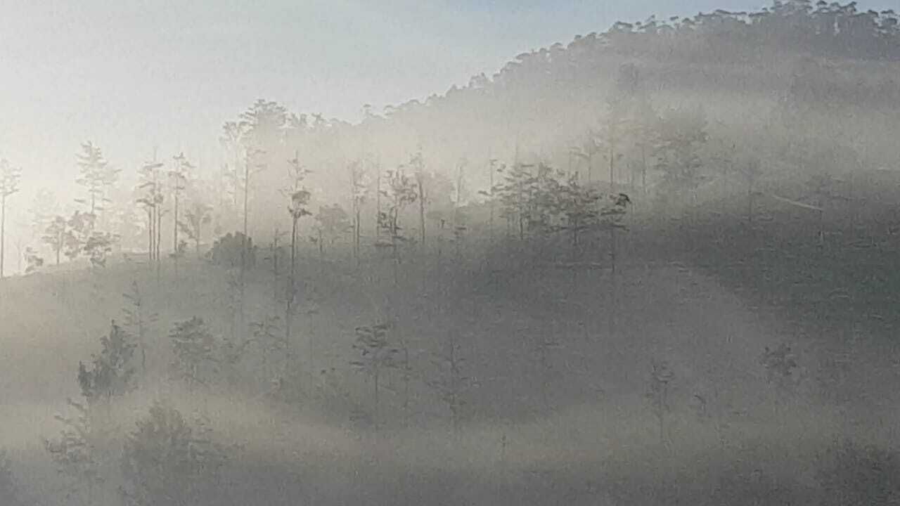 Photo of Others in Kotagiri