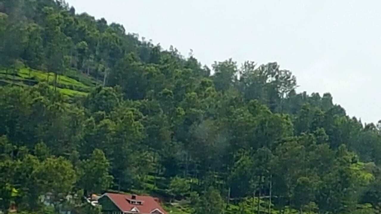 Photo of Outdoor in Kotagiri