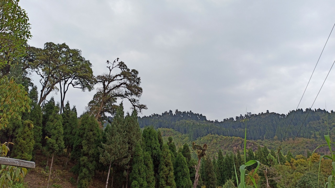 Photo of Outdoor in Tukdah Forest