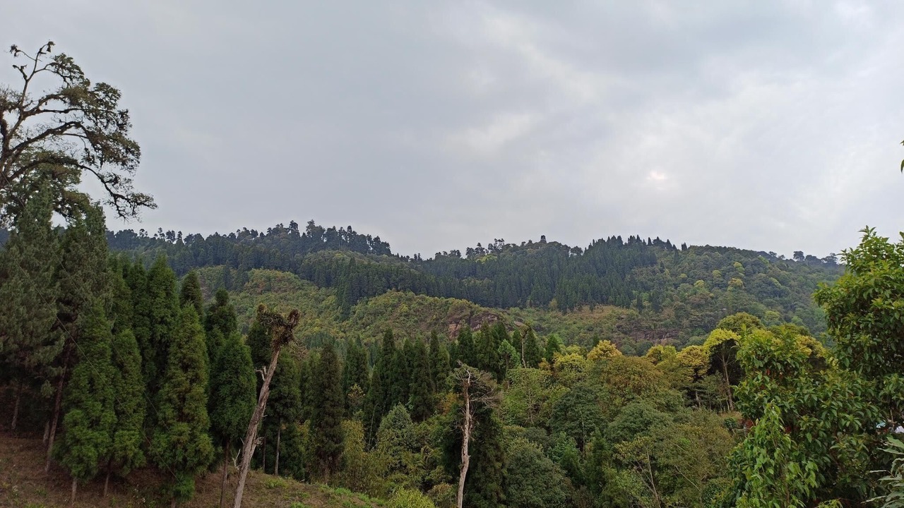 Photo of Outdoor in Tukdah Forest