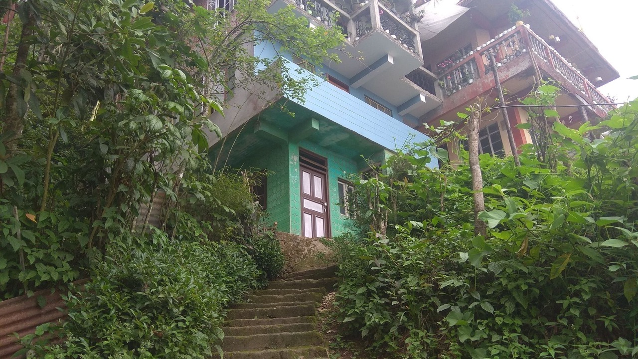 Photo of Outdoor in Tukdah Forest