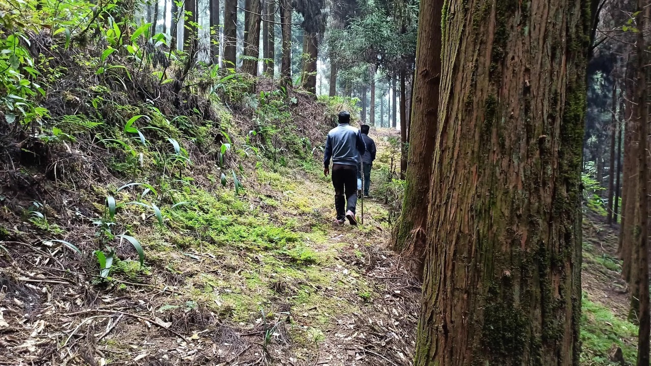 Photo of Outdoor in Tukdah Forest
