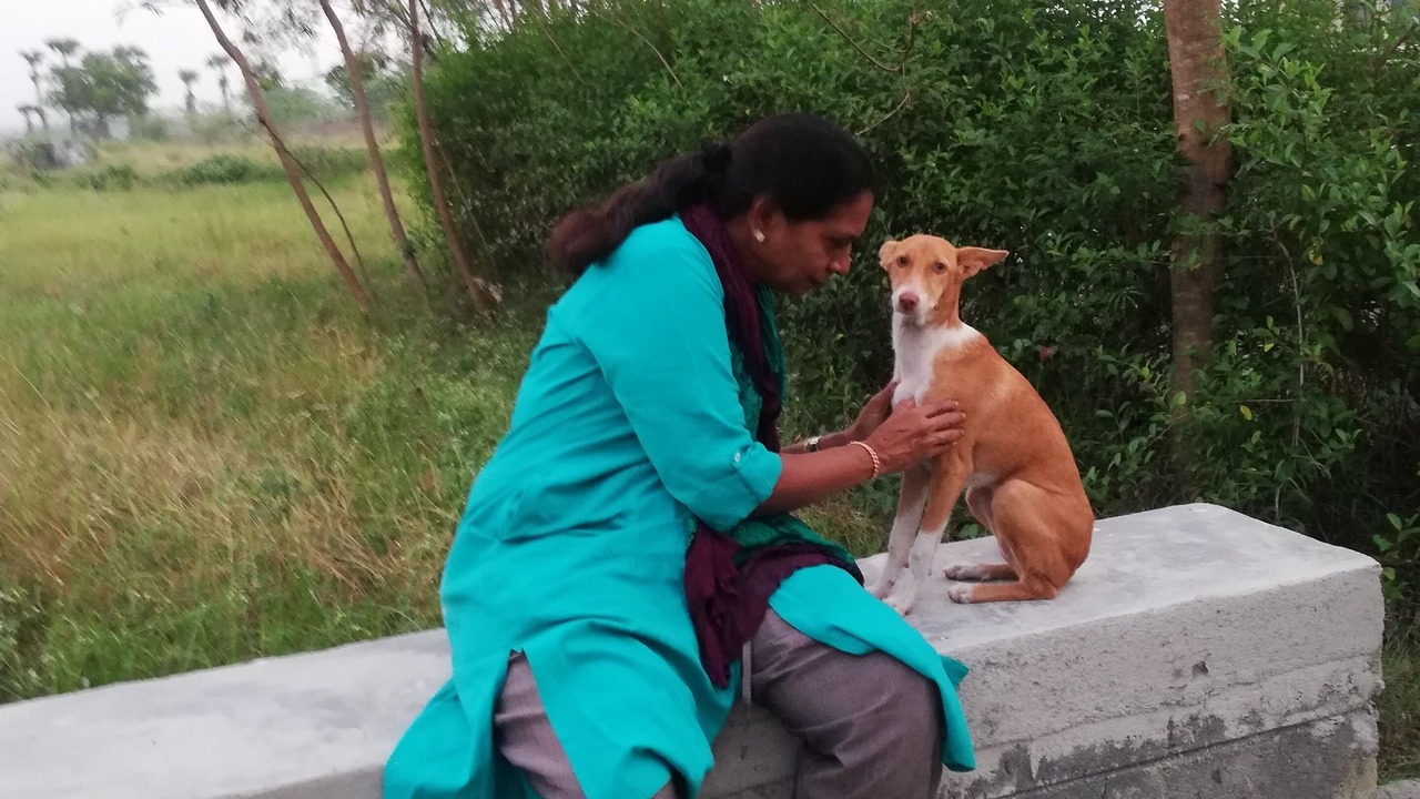Photo of Outdoor in Madurantakam